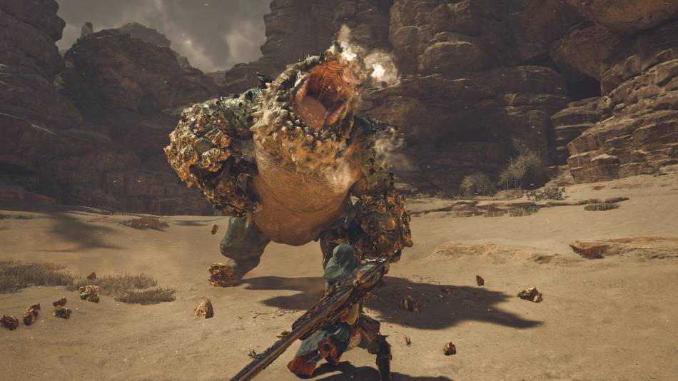 Monster Hunter Wilds-3
